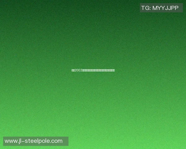 回顾2002年伊朗足球明星阵容及其在世界杯上的表现分析