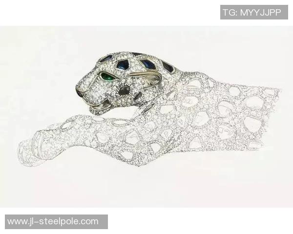 足球明星小猎豹的传奇故事与成长历程小说推荐 足球明星小猎豹的传奇故事与成长历程小说推荐