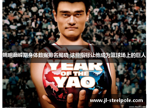 姚明巅峰期身体数据排名揭晓 这些指标让他成为篮球场上的巨人